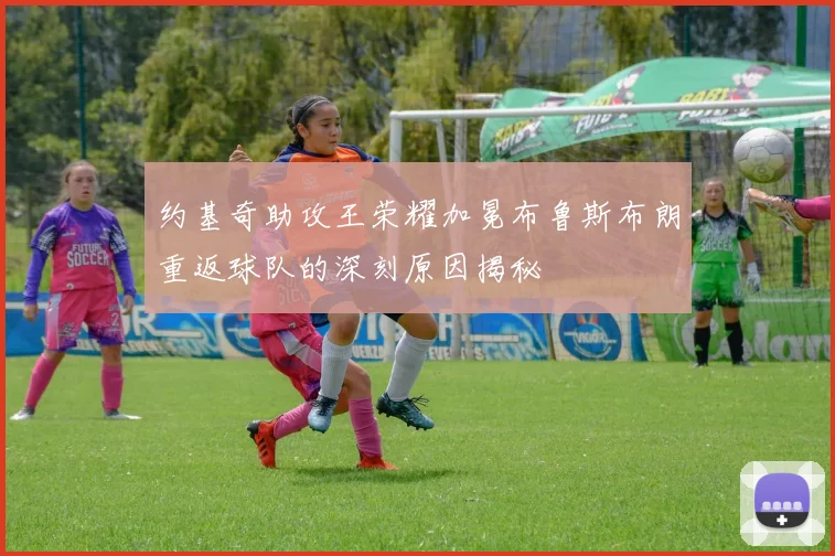 约基奇助攻王荣耀加冕布鲁斯布朗重返球队的深刻原因揭秘