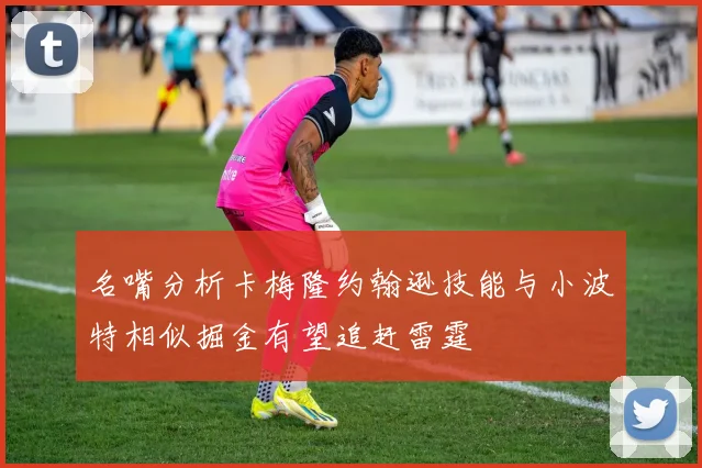 名嘴分析卡梅隆约翰逊技能与小波特相似掘金有望追赶雷霆