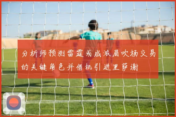 分析师预测雷霆或成浓眉吹杨交易的关键角色并借机引进里萨谢