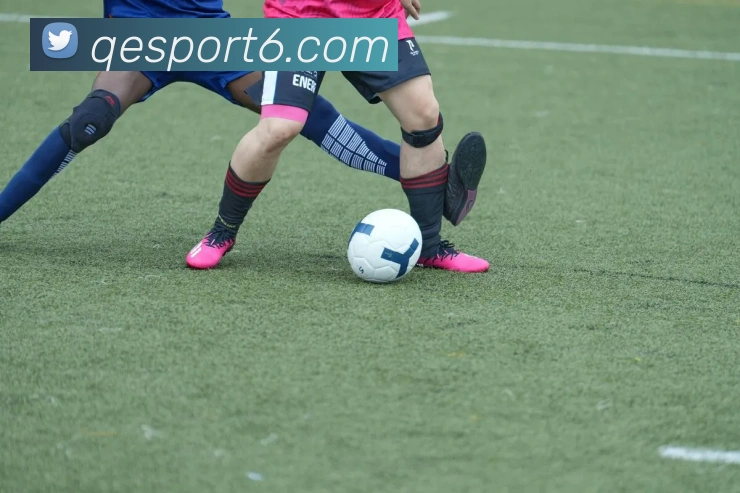 企鹅体育平台生态图