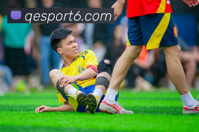 企鹅体育全站App